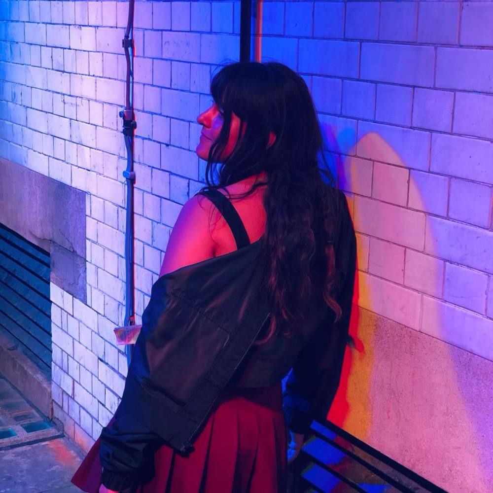 Meet the Silliest Goose